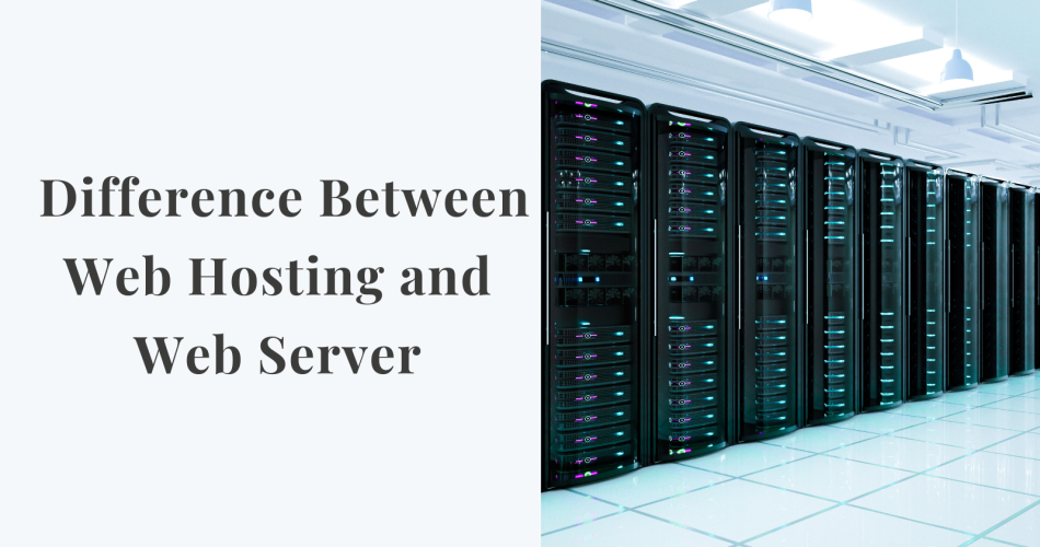 Difference Between Web Hosting and Web Server