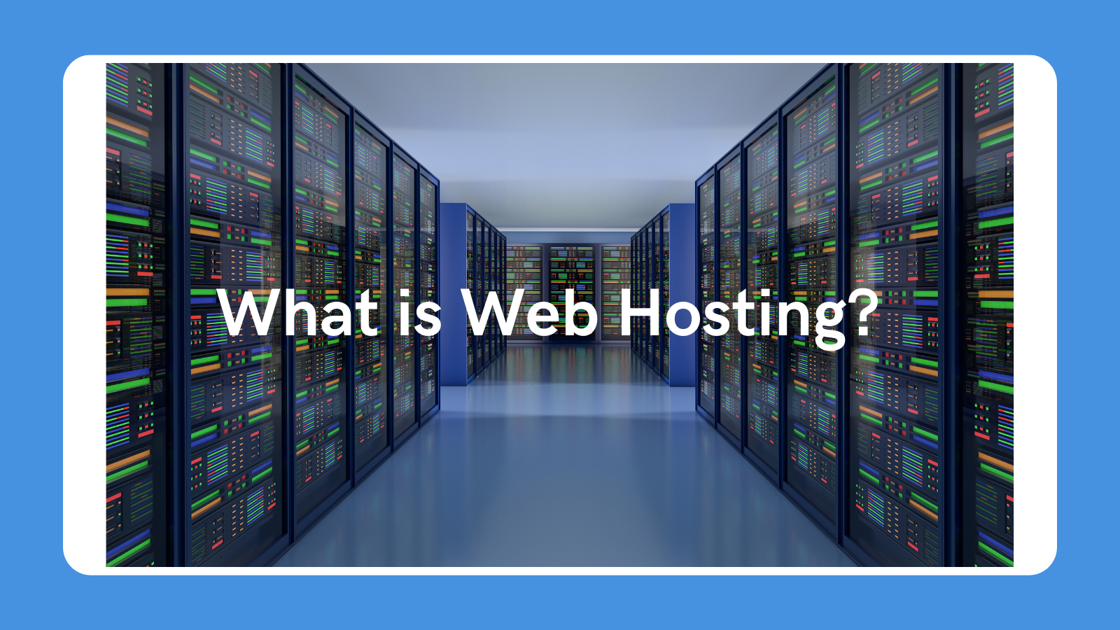 what is web hosting