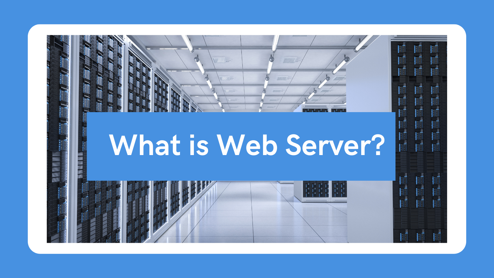 what is web server